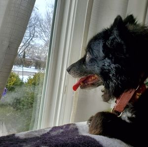 Meet your Posher, Zack